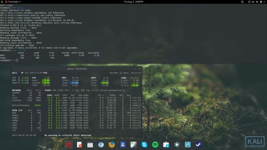 Kali Linux terminal
